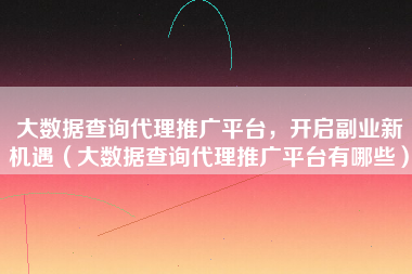 大数据查询代理推广平台，开启副业新机遇（大数据查询代理推广平台有哪些）
