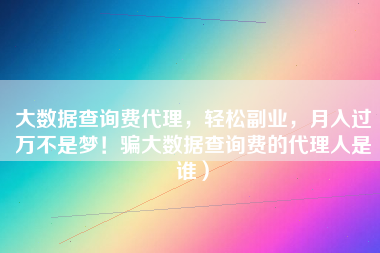 大数据查询费代理，轻松副业，月入过万不是梦！骗大数据查询费的代理人是谁）