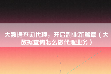 大数据查询代理，开启副业新篇章（大数据查询怎么做代理业务）
