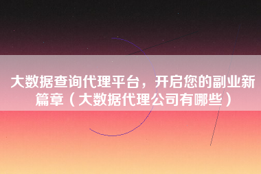 大数据查询代理平台，开启您的副业新篇章（大数据代理公司有哪些）