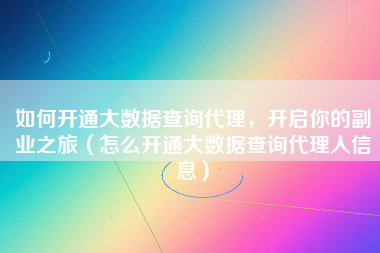 如何开通大数据查询代理，开启你的副业之旅（怎么开通大数据查询代理人信息）