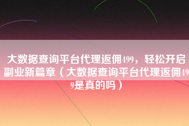 大数据查询平台代理返佣499，轻松开启副业新篇章（大数据查询平台代理返佣499是真的吗）