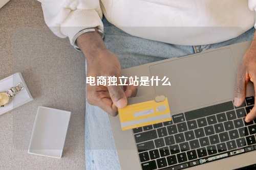 电商独立站是什么