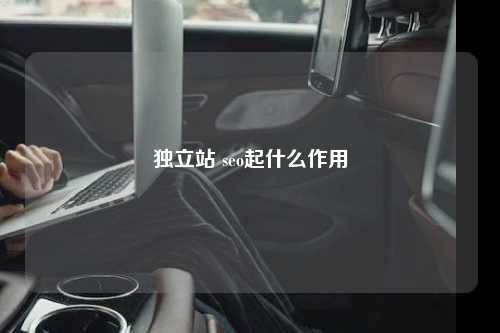 独立站 seo起什么作用
