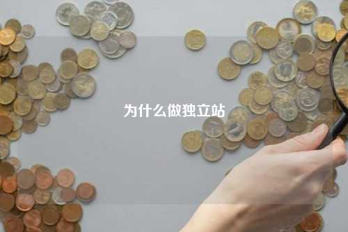 为什么做独立站