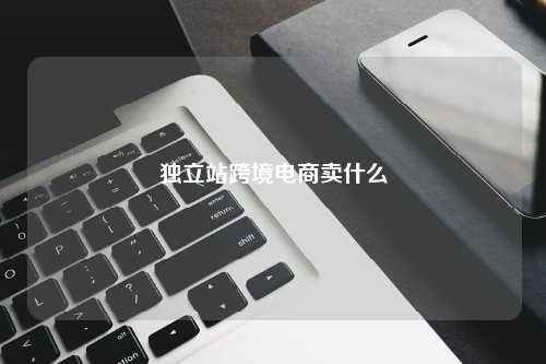 独立站跨境电商卖什么