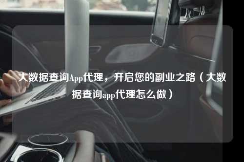大数据查询App代理，开启您的副业之路（大数据查询app代理怎么做）
