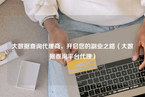 大数据查询代理商，开启您的副业之路（大数据查询平台代理）
