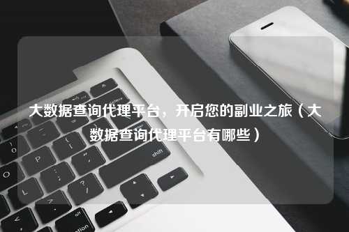 大数据查询代理平台，开启您的副业之旅（大数据查询代理平台有哪些）