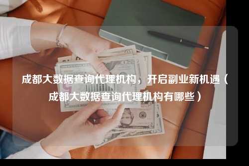 成都大数据查询代理机构，开启副业新机遇（成都大数据查询代理机构有哪些）