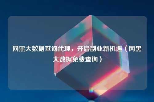 网黑大数据查询代理，开启副业新机遇（网黑大数据免费查询）