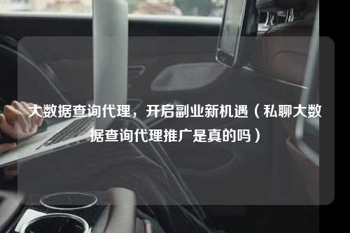 大数据查询代理，开启副业新机遇（私聊大数据查询代理推广是真的吗）